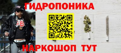 твердый Будённовск