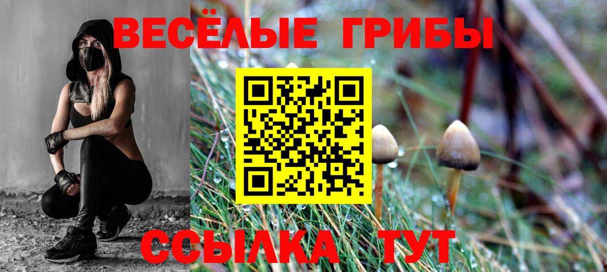 Первоуральск  Галлюциногенные грибы мицелий  Вход с VPN 
